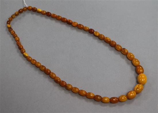 A single strand graduated amber bead necklace, 70cm.